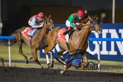 Dubai Racing TV: Taking the "Sport of Kings" Global