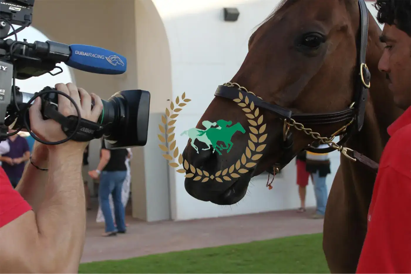Saddle Up for Excitement: Unveiling the Distinctive World of Dubai Racing TV