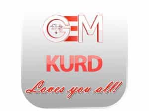 The logo of GEM Kurd