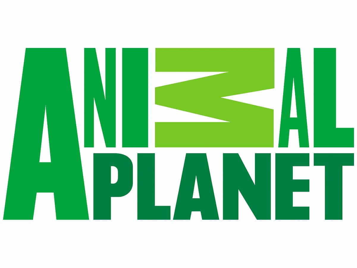 Watch Animal Planet America Latina live streaming. The United States TV  channel