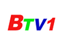 The logo of Binh Duong TV 1