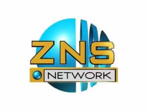 The logo of ZNS Network