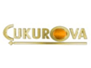 The logo of Çukurova