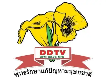 The logo of DDTV