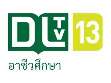 The logo of DLTV 13