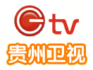 Guizhou TV logo