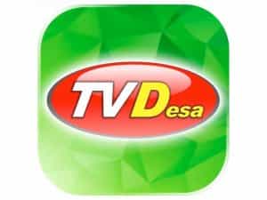The logo of Channel Desa TV