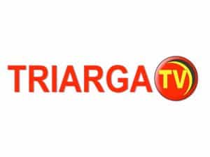 The logo of Triarga TV