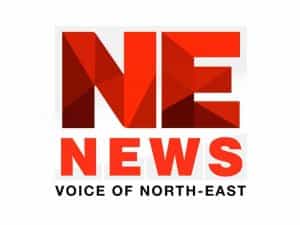 The logo of NE News