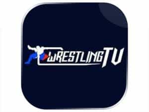 The logo of Wrestling TV