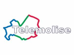 The logo of Telemolise