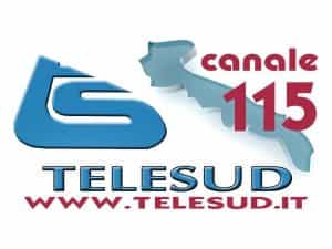The logo of TeleSud