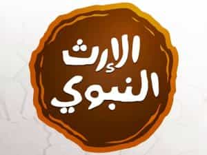 Alerth Alnabawi TV logo