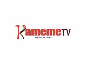 The logo of Kameme TV