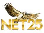 The logo of Net 25