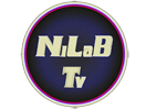 The logo of Nilab TV