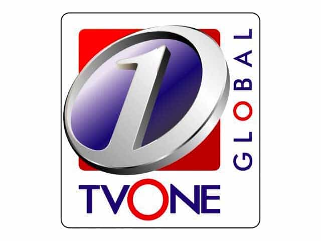 The logo of TV One Global