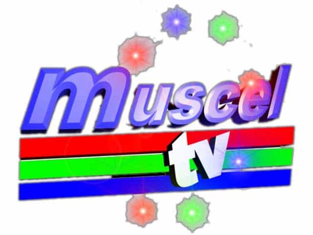 The logo of Muscel TV