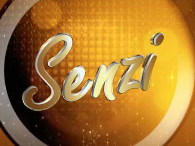 The logo of Senzi