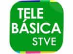 The logo of STVE Telebásica 1