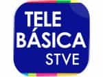 The logo of STVE Telebásica 2