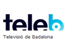 The logo of Tele B