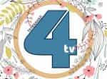 The logo of TV-4