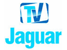 The logo of TV Jaguar