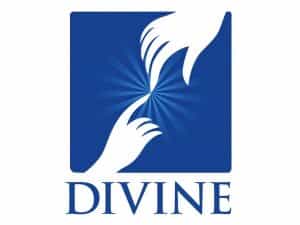 The logo of Divine Vision Network - UK