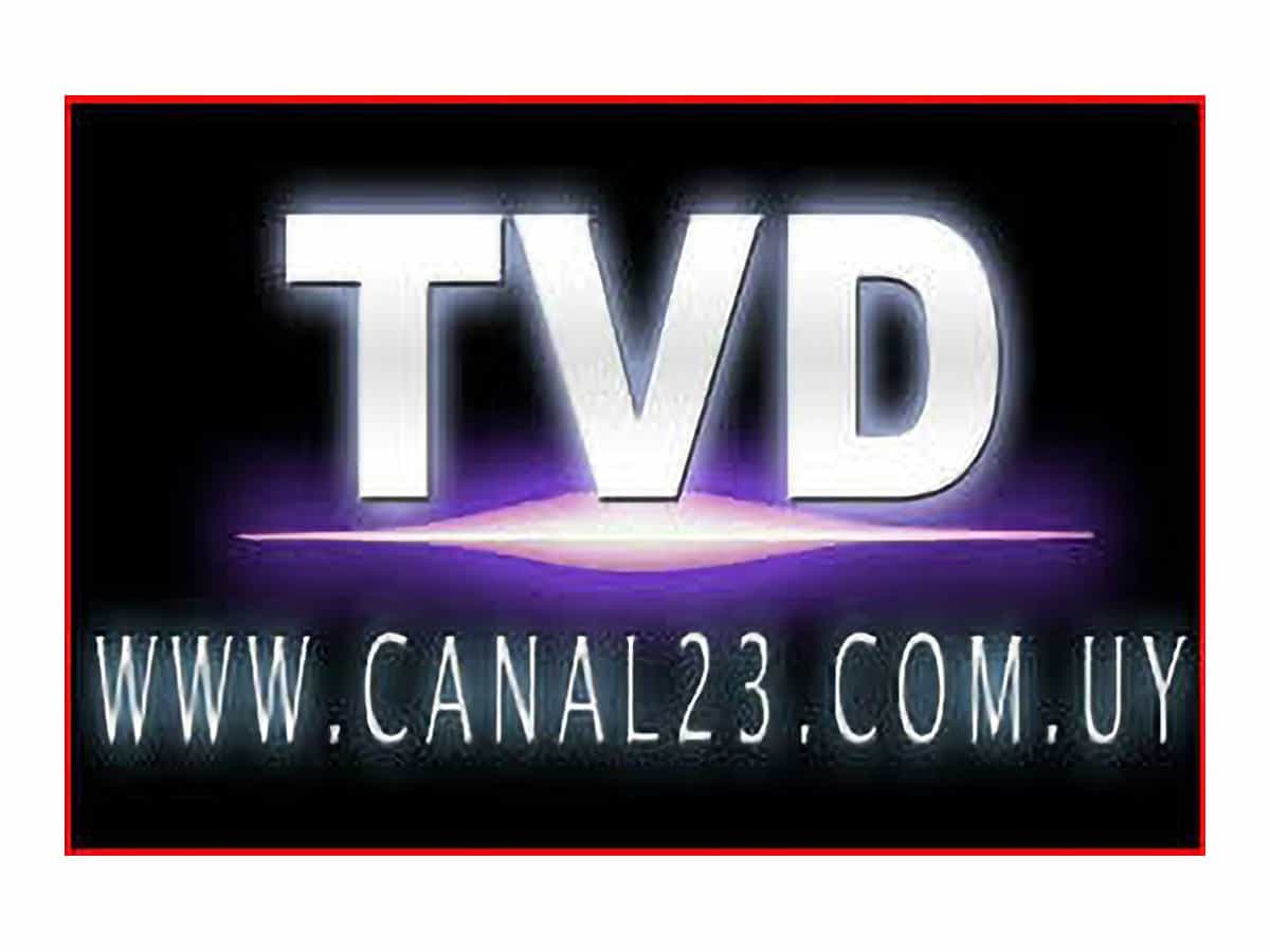 TV Florida. Tina canal23.