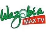The logo of Wazobia Max TV Abuja